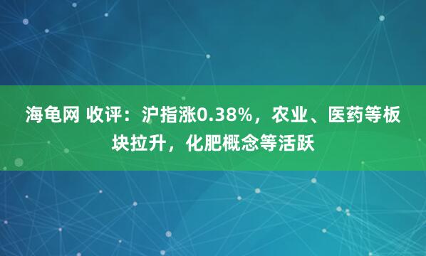 海龟网 收评：沪指涨0.38%，农业、医药等板块拉升，化肥概念等活跃