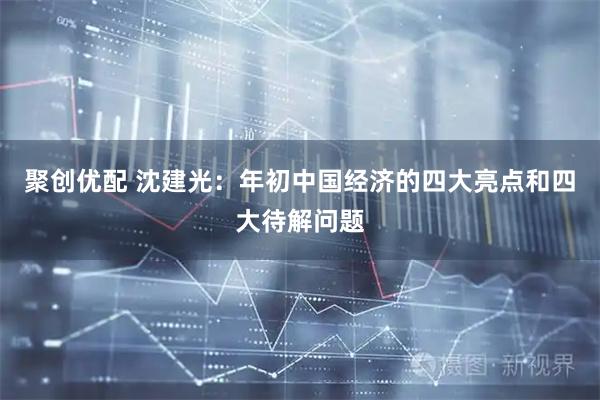 聚创优配 沈建光：年初中国经济的四大亮点和四大待解问题
