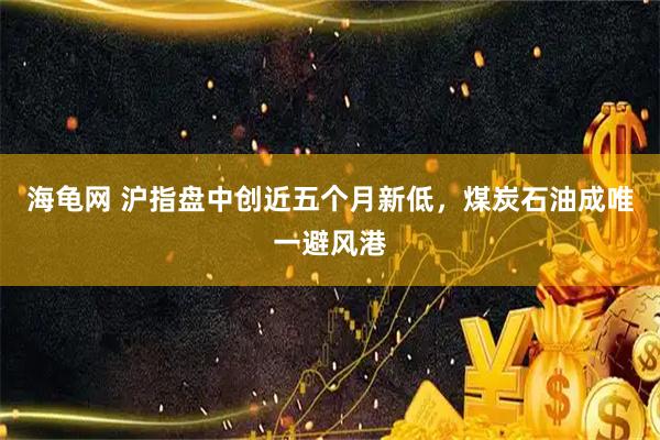 海龟网 沪指盘中创近五个月新低，煤炭石油成唯一避风港