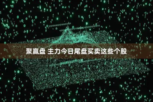 聚赢盘 主力今日尾盘买卖这些个股