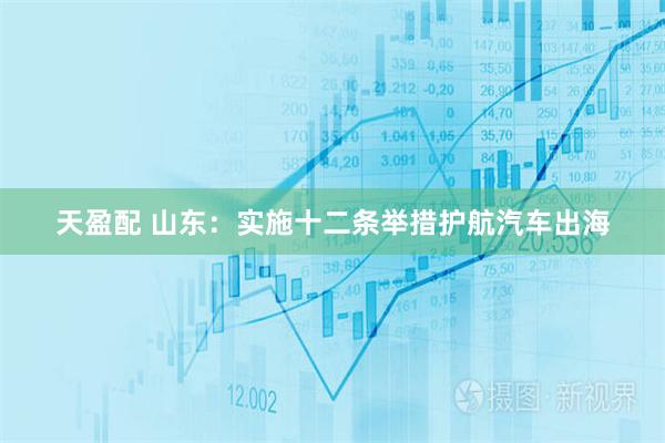 天盈配 山东：实施十二条举措护航汽车出海