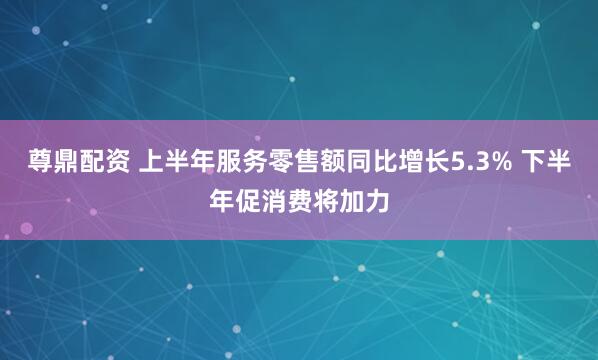 尊鼎配资 上半年服务零售额同比增长5.3% 下半年促消费将加力