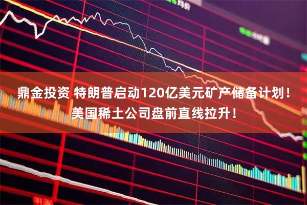 鼎金投资 特朗普启动120亿美元矿产储备计划！美国稀土公司盘前直线拉升！