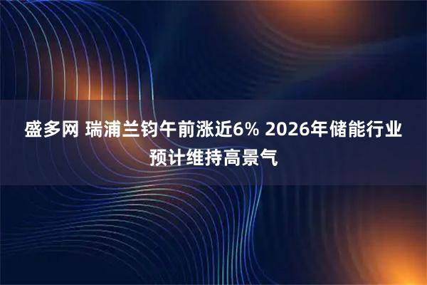 盛多网 瑞浦兰钧午前涨近6% 2026年储能行业预计维持高景气