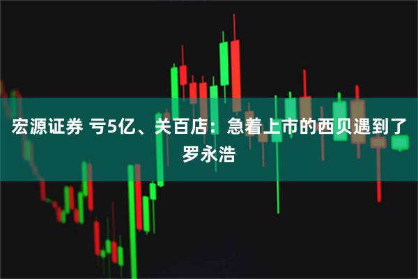 宏源证券 亏5亿、关百店：急着上市的西贝遇到了罗永浩
