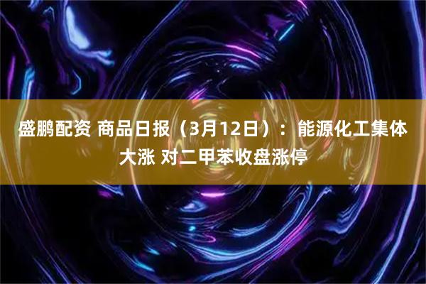 盛鹏配资 商品日报（3月12日）：能源化工集体大涨 对二甲苯收盘涨停