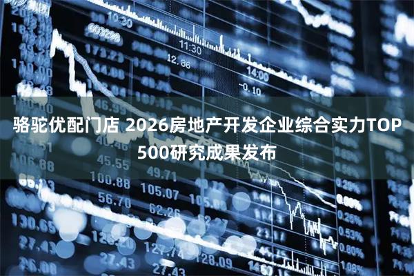 骆驼优配门店 2026房地产开发企业综合实力TOP500研究成果发布