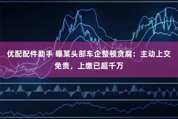 优配配件助手 曝某头部车企整顿贪腐：主动上交免责，上缴已超千万