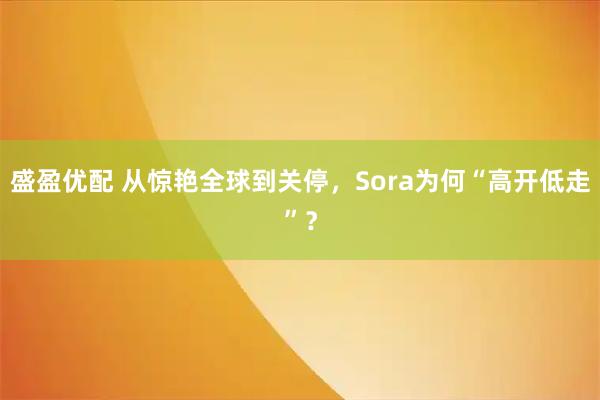 盛盈优配 从惊艳全球到关停，Sora为何“高开低走”？