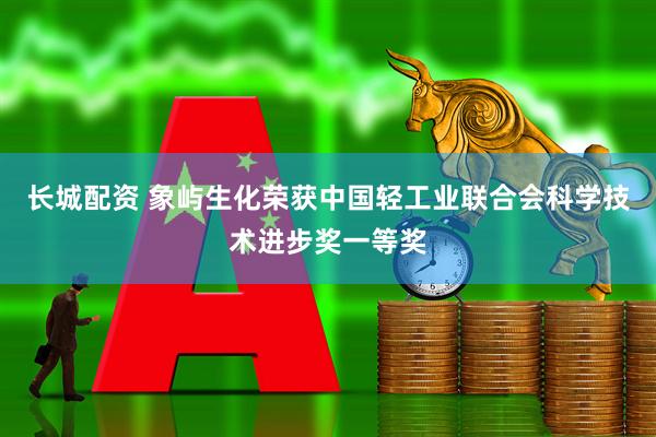 长城配资 象屿生化荣获中国轻工业联合会科学技术进步奖一等奖