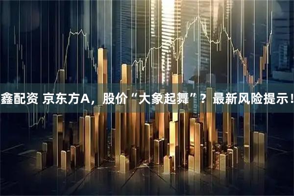 鑫配资 京东方A，股价“大象起舞”？最新风险提示！