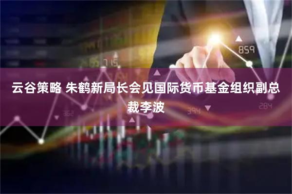 云谷策略 朱鹤新局长会见国际货币基金组织副总裁李波