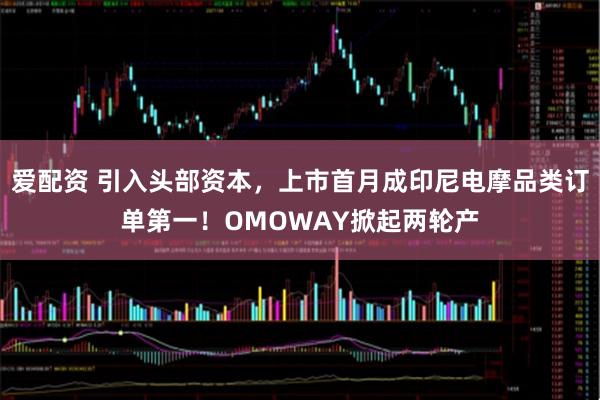 爱配资 引入头部资本，上市首月成印尼电摩品类订单第一！OMOWAY掀起两轮产